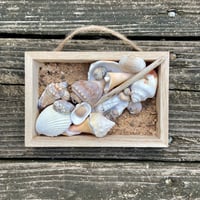 Image 1 of Beach Box #6