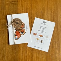 Image 1 of 5 Print/Postcard Pack Colour - Insects 1