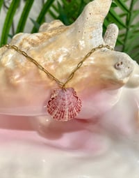 Scallop Shell Necklace N195