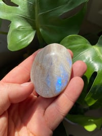 Image 1 of Moonstone Palm Crystal (5)