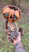 Image of Forgotten Pumpkinheads of OZ..