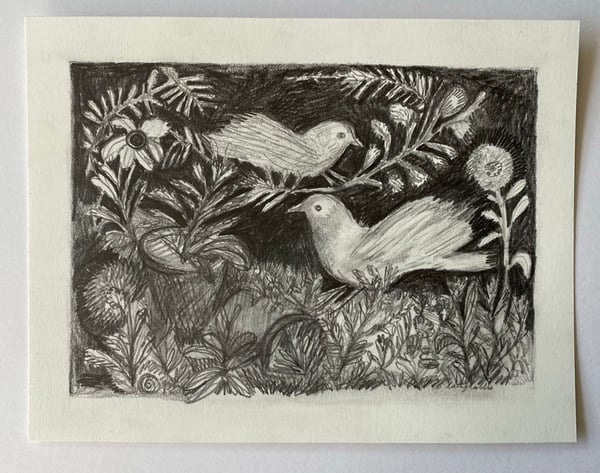 Image of midsummer birds - original drawing