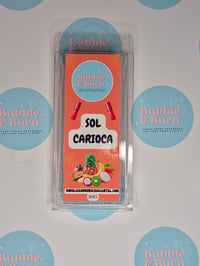  Wax Melts Clamshell - sol carioca