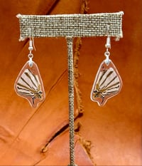 Image 1 of African Map Hindwings