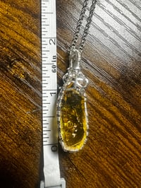 Image 2 of Amber Enhydro