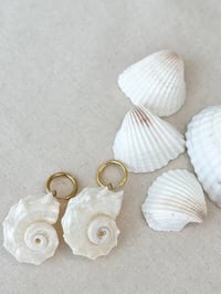 Image 1 of Conch Shell Earrings