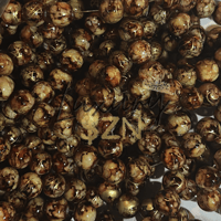 10mm Marble Brown #2 