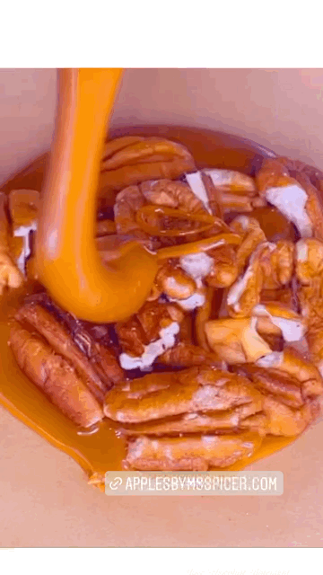 Image of Colossal Gourmet Turtles