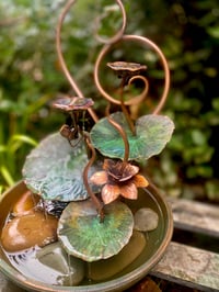 Image 4 of Lotus Water Bloom
