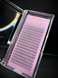 Image 2 of Spike Lashes