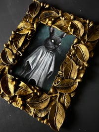 Image 4 of Conejo fantasma 