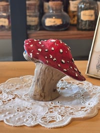 Image 6 of Mysterious Mushrooms