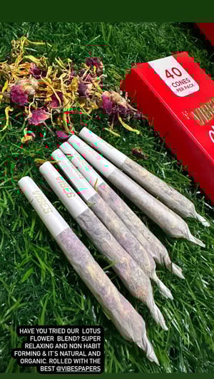 Image of Lucid Dreams