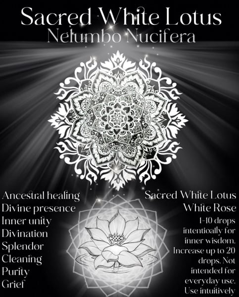 Image of Sacred White Lotus & White dogwood Rose 