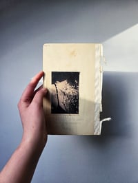 Image 4 of SELF - COLLAGE (UNIQUE)