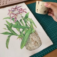 Image 2 of Original Illustration Orchid Beallara