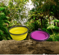 Image 4 of Collapsible Bowls