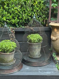 Image 3 of Beehive Garden Cloche Set