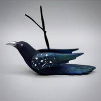 Image 1 of 🔴SOLD OUT-Baby Ravens