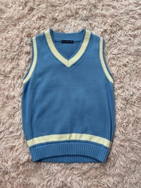 Image 1 of Blue Vest.