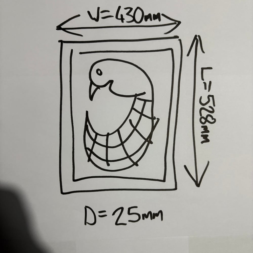 Image of “PEACOCK #1”