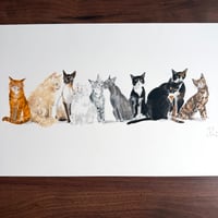 Image 1 of ORIGINAL ARTWORK - Cat Gradient I -  50x25cm