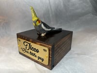 Image 2 of Custom Engraved Cockatiel Bird Mini Keepsake Urn Handpainted To Your Photo Pet Portrait