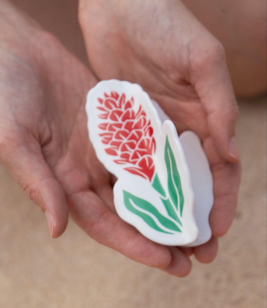 Image of Awapuhi HunnyGirl Claw Clip