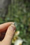 Image of Opal Link Ring