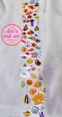 shells & fish