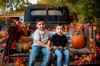 Image 5 of Fall minis 