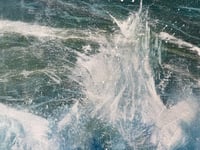 Image 4 of Spring Hare Sea