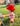 Tiny Strawberry Hat