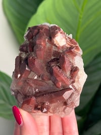 Image 2 of RED IRON OXIDE/HEMATITE QUARTZ -MOROCCO- I