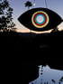 Arco iris eye Image 5