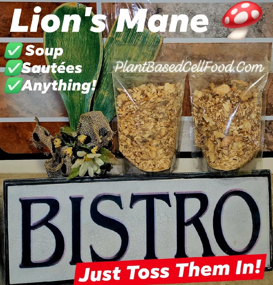 FORAGED FUNGUS Wild Seasonal Dehydrated Mushrooms (1 oz.)-Lions' Mane-Lobster-Matsutake-Maitake-Etc.