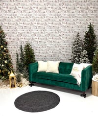 Image 3 of Christmas Minis @ Studio