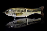 Image 1 of Full Size Shat - “Baby Bass”