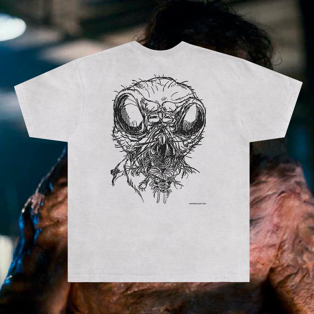 THE FLY 