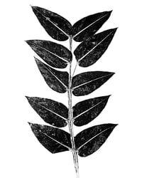 Image 2 of Eucalyptus Leaves Monoprint-Giclee