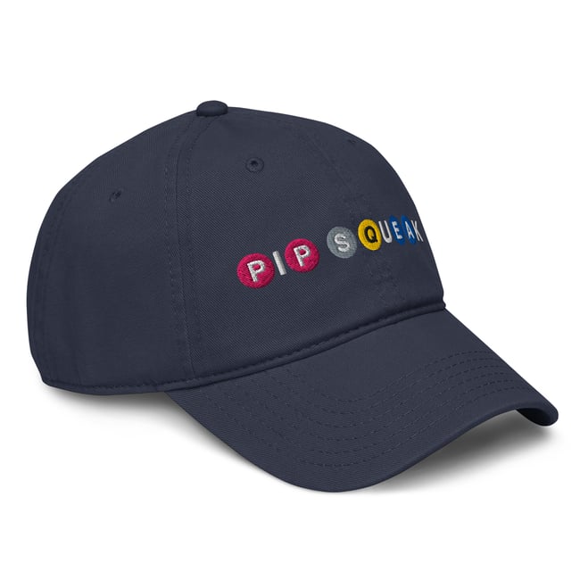 Pipsqueak NYC (Pink P Subway) Garment washed baseball cap