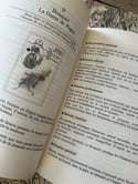 Le petit Lenormand, livre d’interprétation du jeu, C. Silvestre 