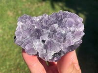 Image 12 of Purple Cubic Fluorite Specimen #1957