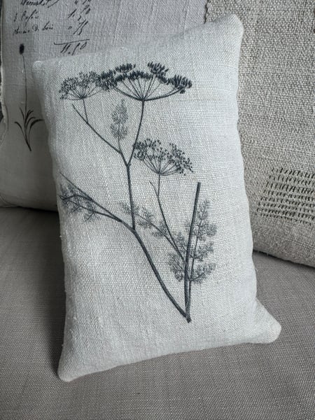 Image of Queen Anne’s lace lavender pillow