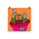 Image 1 of Daisies Poster