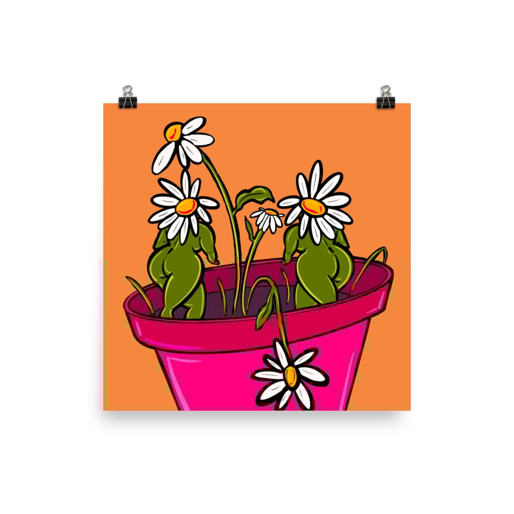 Image of Daisies Poster