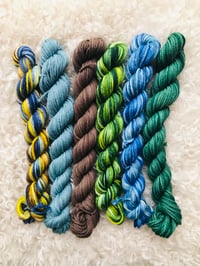 Image 5 of Hand Dyed Australian 8 ply Merino Wool 25 gram x 6 Packs