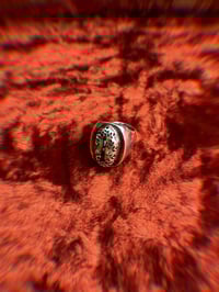 Image 1 of Into the Fire signet 