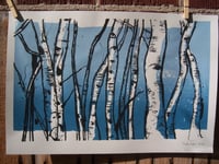 Image 1 of Aspen Trunks Print