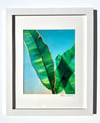 “Clearing Space” Framed Print